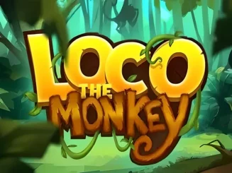 Loco the Monkey