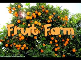 Fortunica