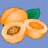 apricot Apricot Symbol