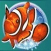 dolphin reef fish dolphin reef fish