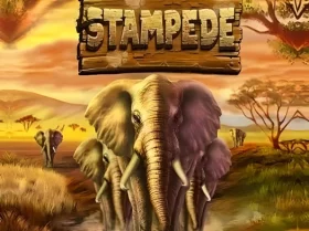 Stampede Free
