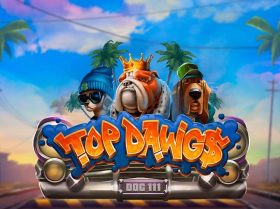 Top Dawgs