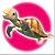 twin win turtle twin win turtle