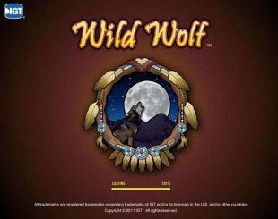 Wild Wolf